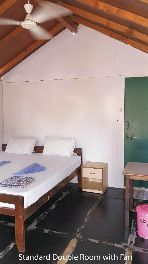 カナコナ The Nest Palolem Bed & Breakfast エクステリア 写真