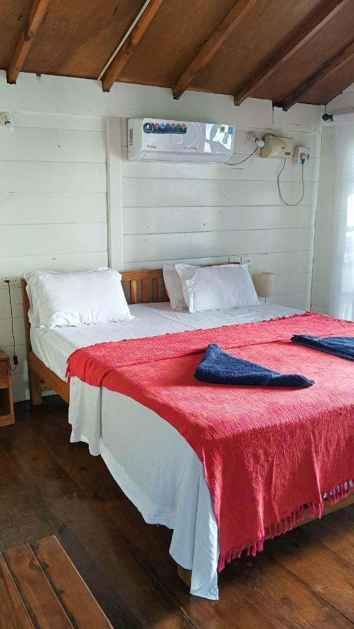 カナコナ The Nest Palolem Bed & Breakfast エクステリア 写真