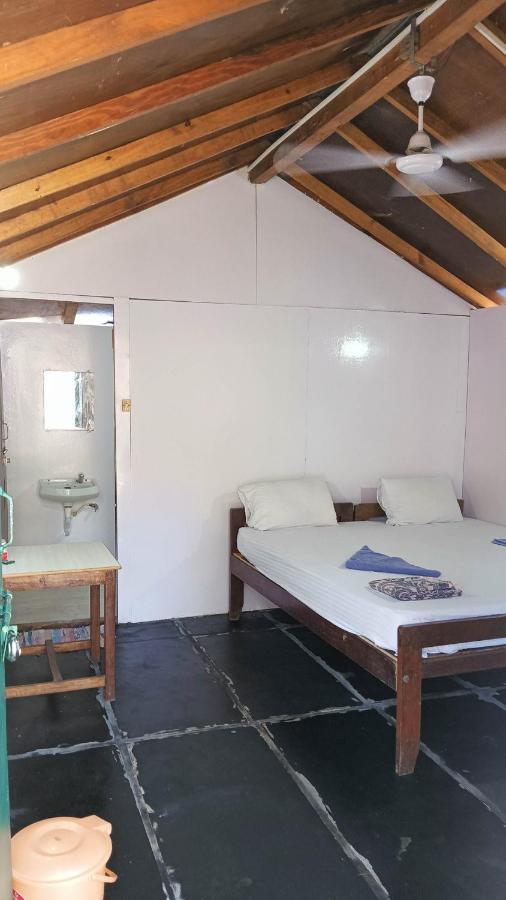 カナコナ The Nest Palolem Bed & Breakfast エクステリア 写真
